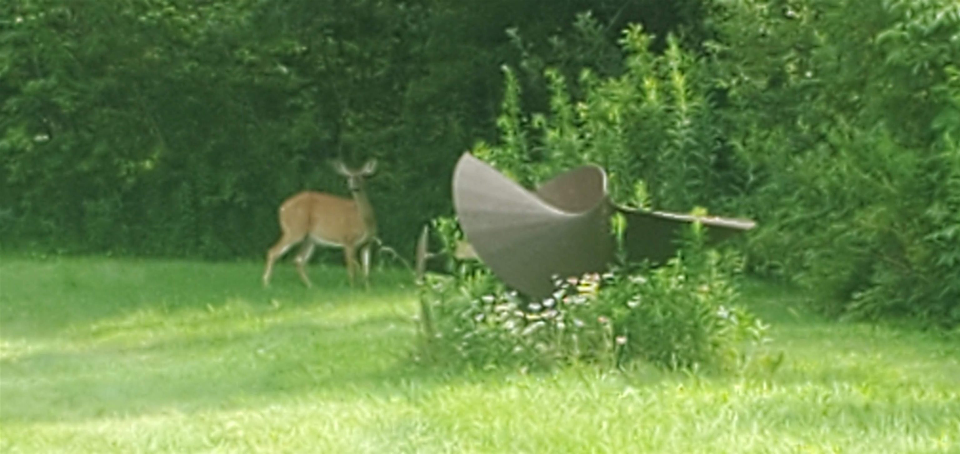 281 Old County Lane Readsboro, VT 05350 - Photo 51 of 51