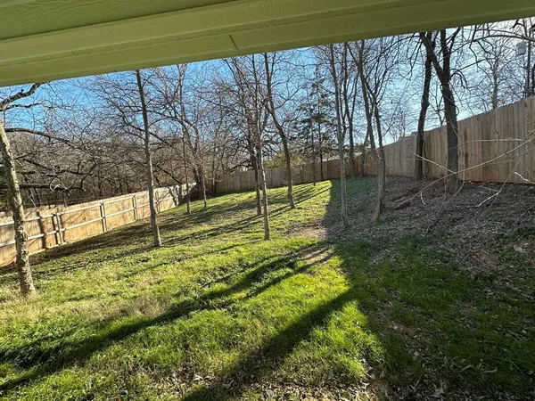 a view of yard from a window