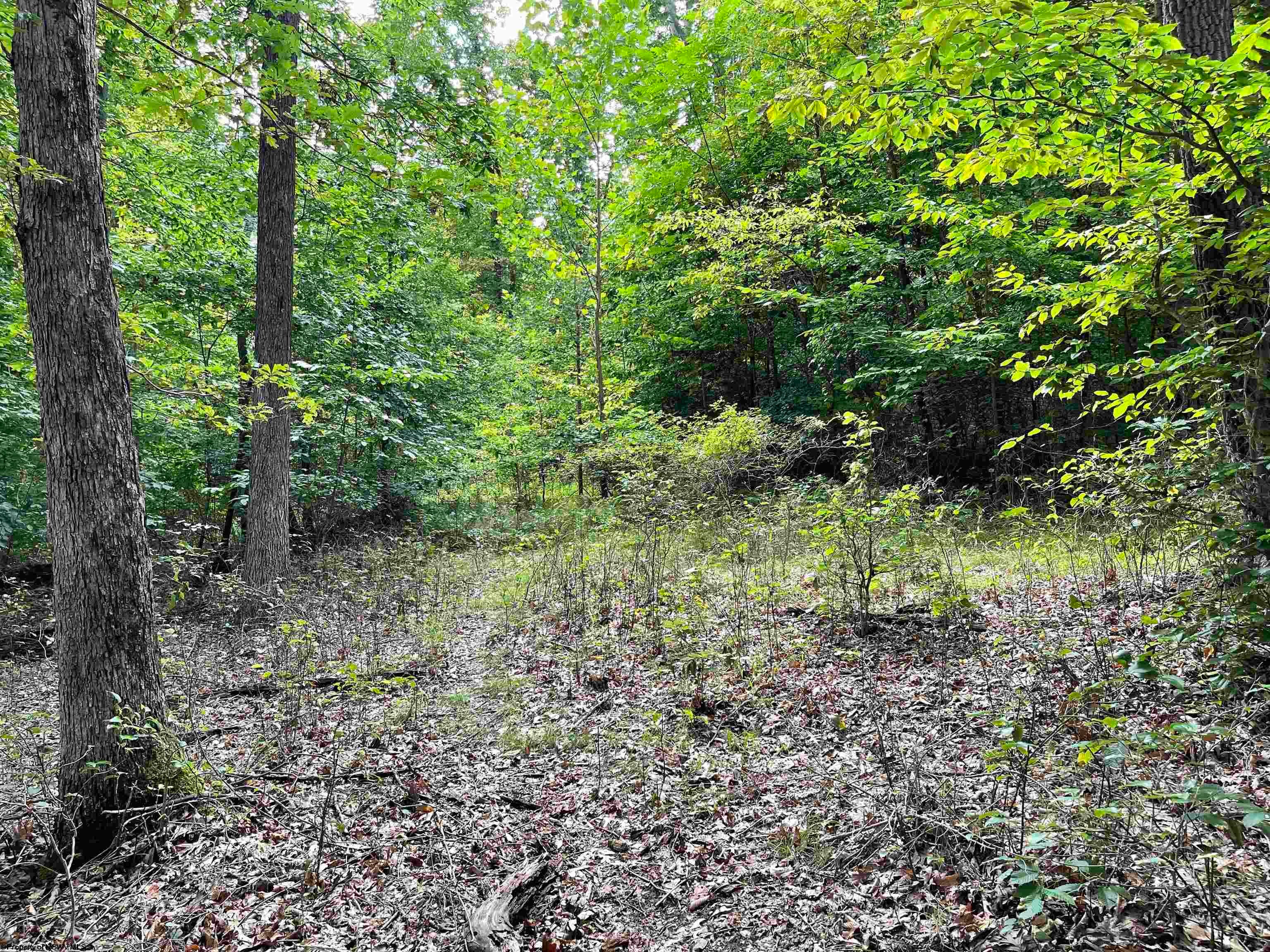 917 Mudlick Run Road Fairmont, WV 26554 - Photo 10 of 19 Gallery Image 10
