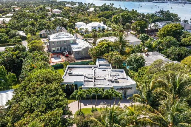 a view of a big yard with plants
