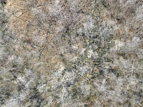 $233,000 | M216 Marcellus Mi 49067, Marcellus, MI 49067