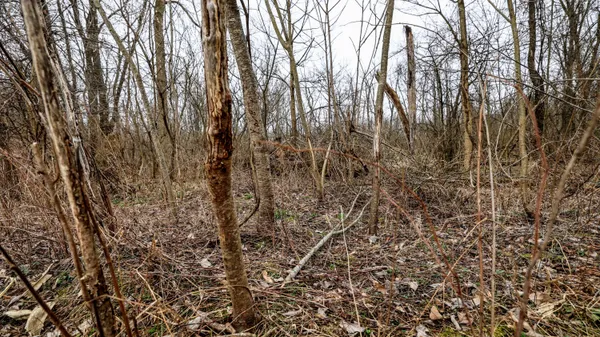 $233,000 | M216 Marcellus Mi 49067, Marcellus, MI 49067