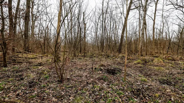 $233,000 | M216 Marcellus Mi 49067, Marcellus, MI 49067