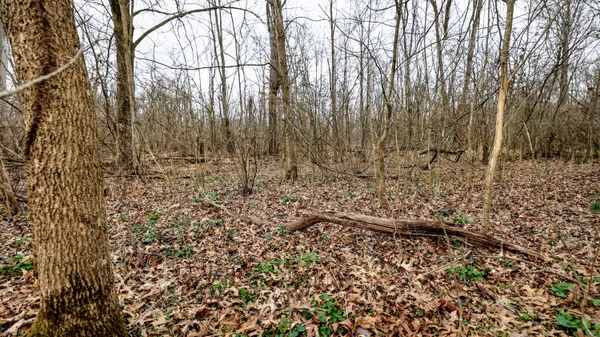 $233,000 | M216 Marcellus Mi 49067, Marcellus, MI 49067