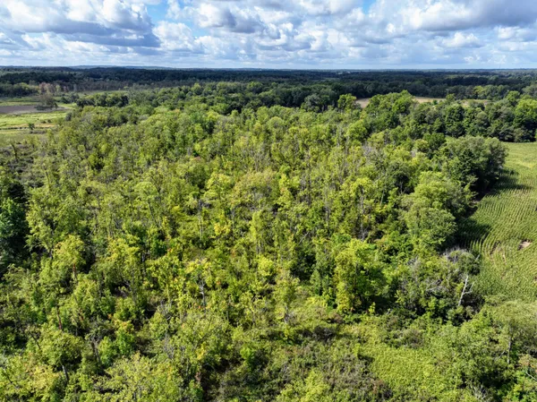 $233,000 | M216 Marcellus Mi 49067, Marcellus, MI 49067