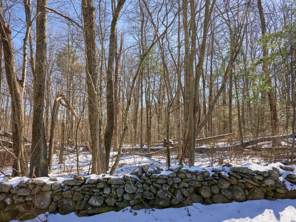 Lot 1 Aldrich Road Monson, MA 01057 - Photo 4 of 19 a view of outdoor space with green space