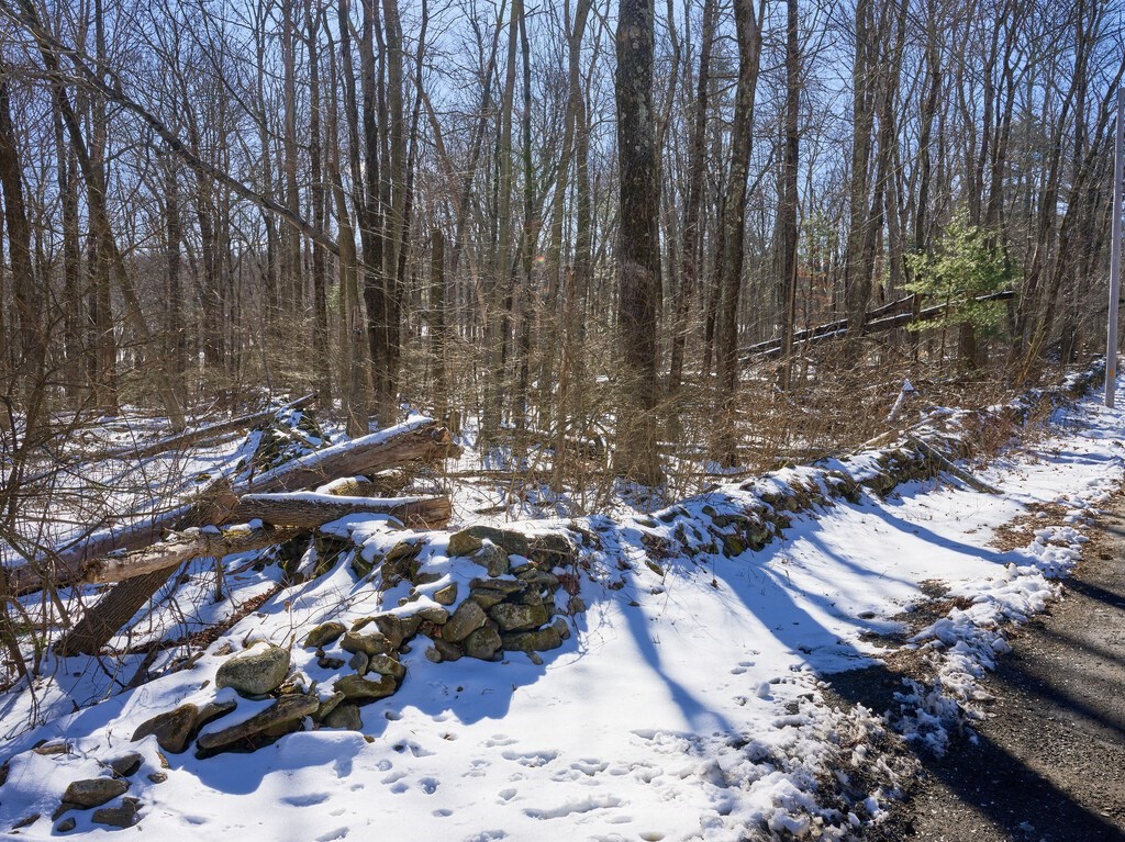 Lot 1 Aldrich Road Monson, MA 01057 - Photo 8 of 19 a view of outdoor space with lots of trees