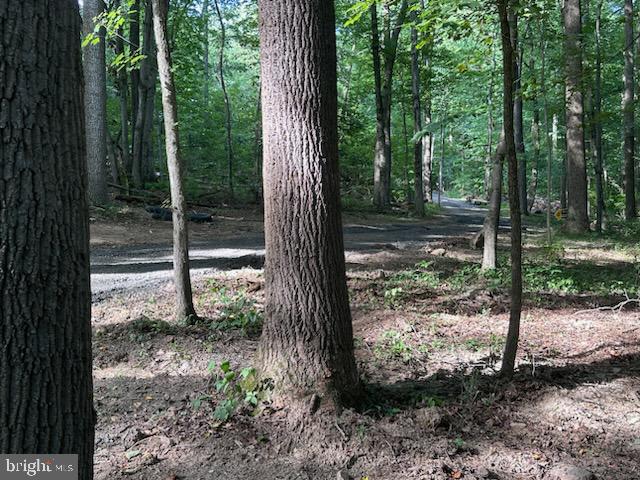 Philadelphia Road Joppa, MD 21085 - Photo 4 of 8