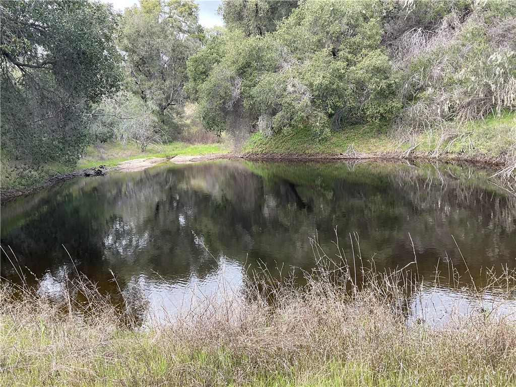 76342 Bryson Hesperia Road Bradley, CA 93426 - Photo 1 of 16 Pond during winter