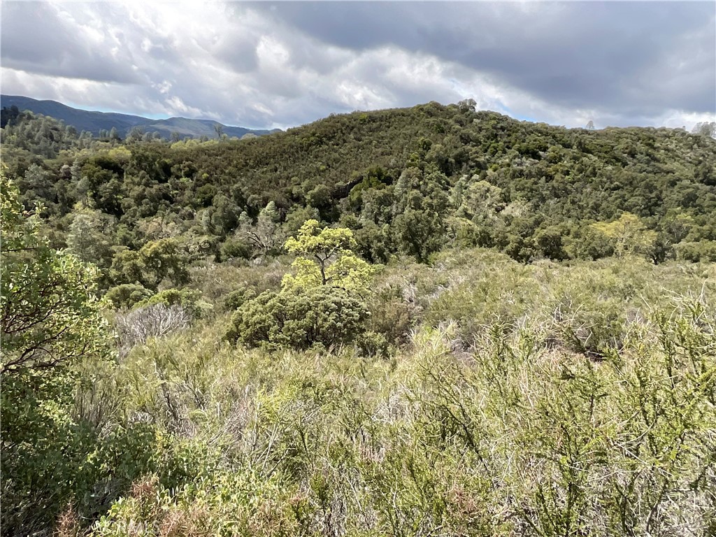 76342 Bryson Hesperia Road Bradley, CA 93426 - Photo 11 of 16