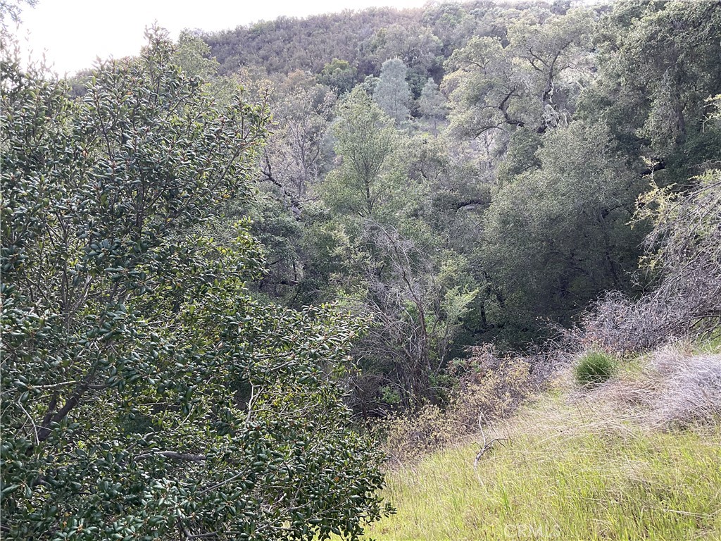 76342 Bryson Hesperia Road Bradley, CA 93426 - Photo 12 of 16