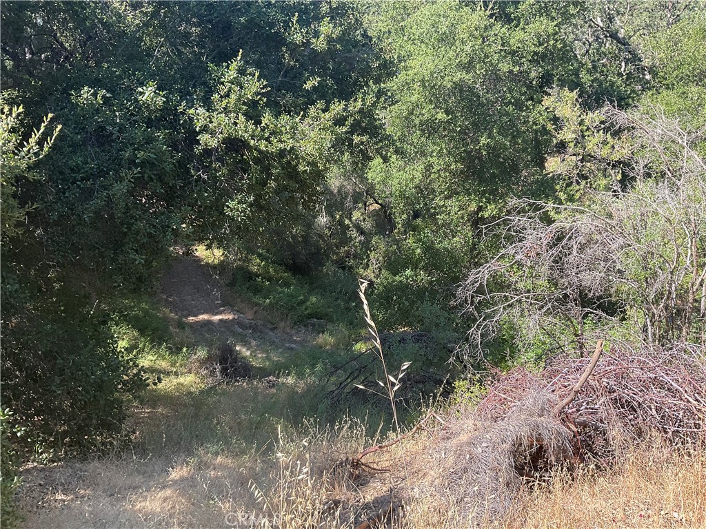 76342 Bryson Hesperia Road Bradley, CA 93426 - Photo 6 of 16