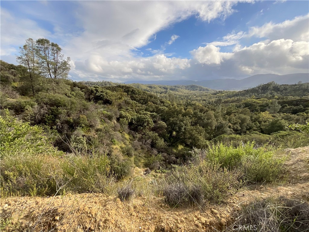 76342 Bryson Hesperia Road Bradley, CA 93426 - Photo 9 of 16