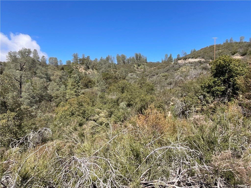 76342 Bryson Hesperia Road Bradley, CA 93426 - Photo 10 of 16