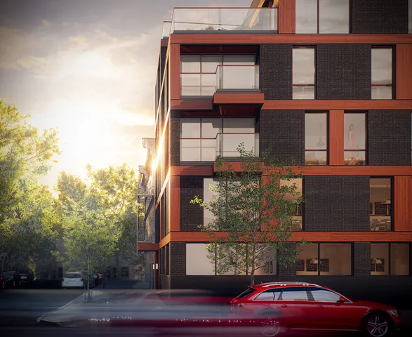 a park with lots of trees and plants