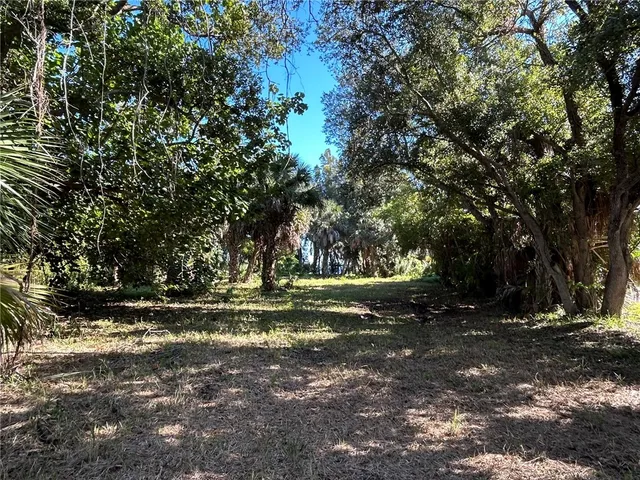 a view of a tree in the middle of a yard