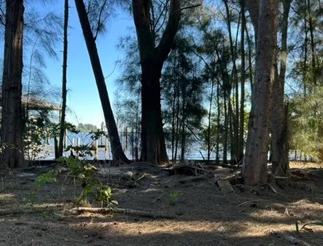 a view of backyard with green space