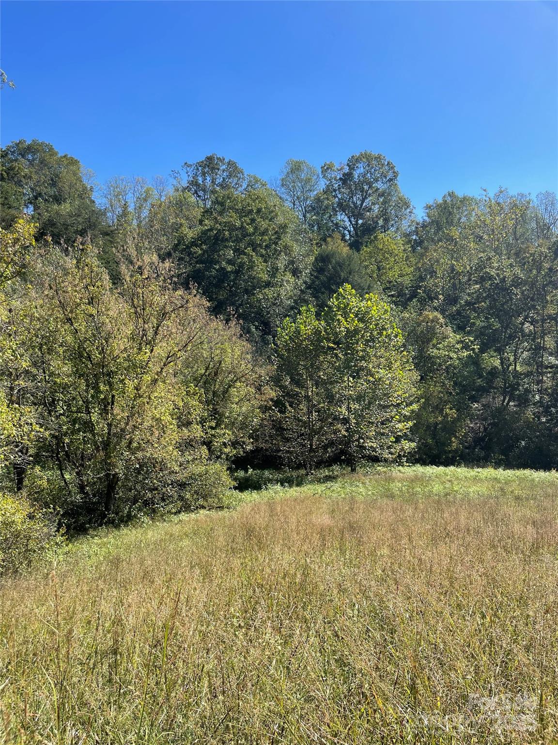 1305 Riddle Farm Road Marshall, NC 28753 - Photo 3 of 28