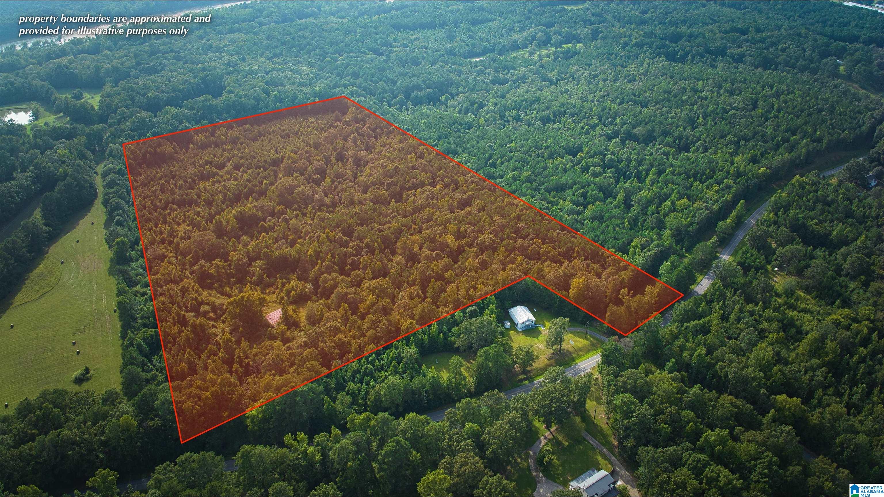 Lot 8 Woods Bend Road, Unit LOT 8 Ragland, AL 35131 - Photo 21 of 28