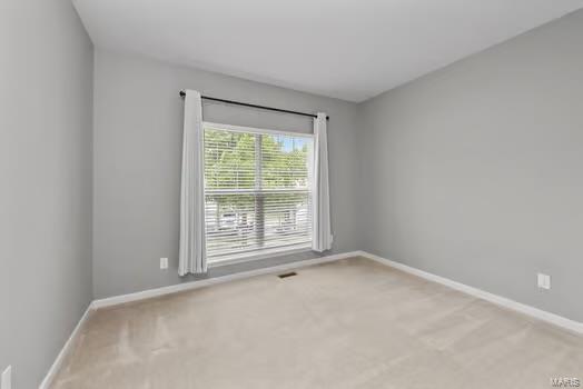 5216 Sunflower Drive Eureka, MO 63025 - Photo 22 of 29