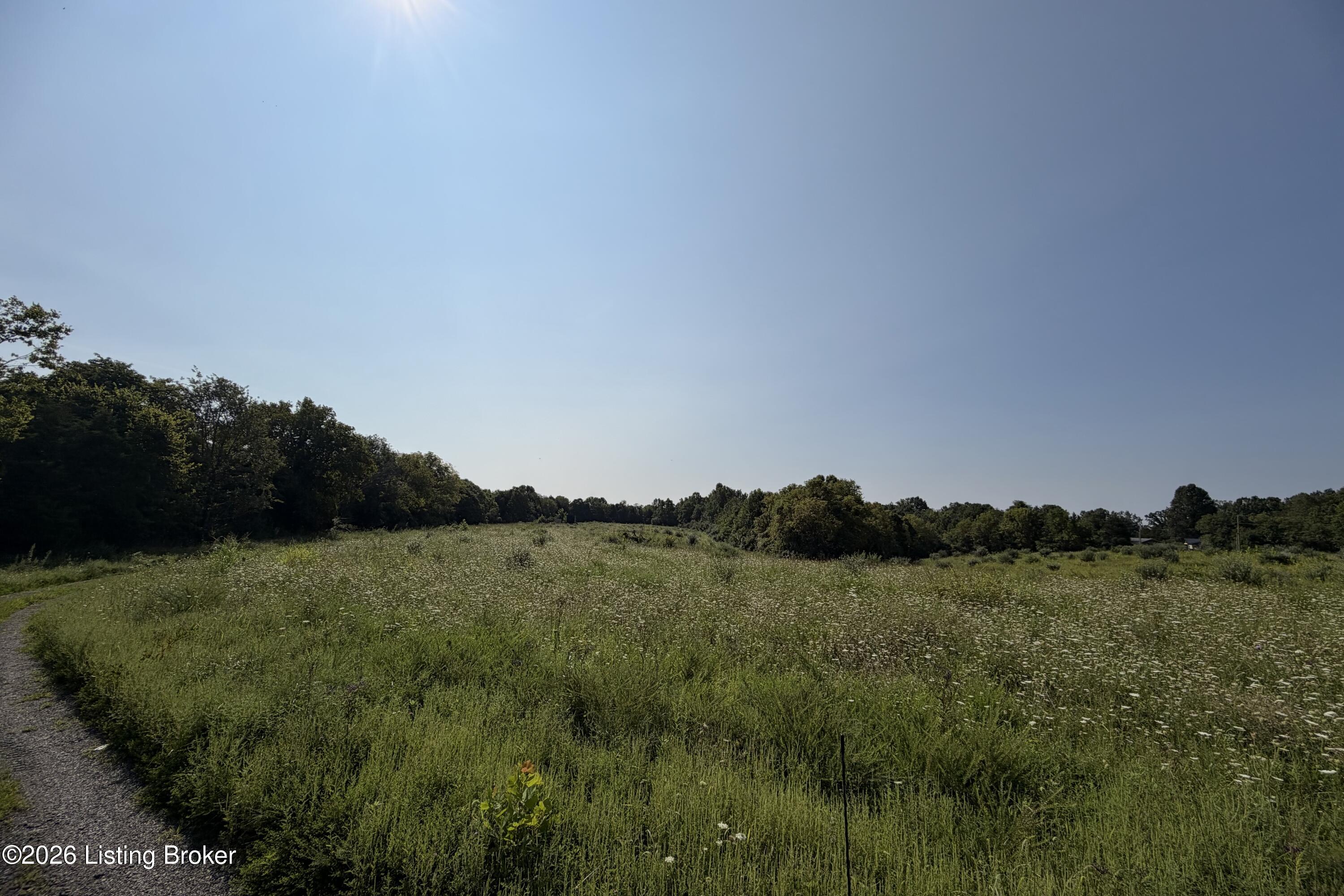 168 Wooded Ridge Road Sulphur, KY 40070 - Photo 6 of 12 IMG_7274