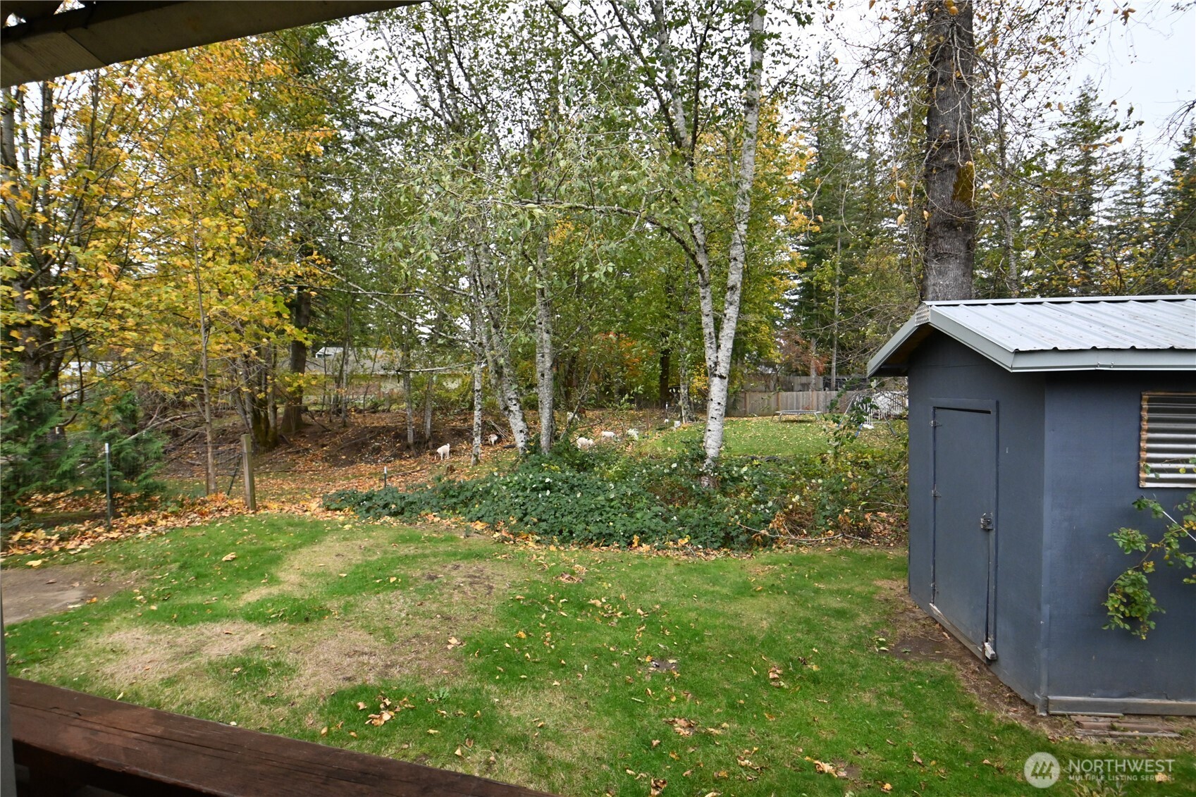 604 Blueberry Lane Gold Bar, WA 98251 - Photo 5 of 24 a backyard of a house with lots of green space
