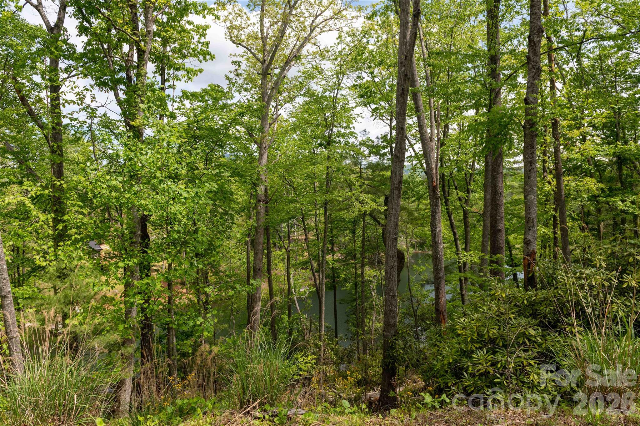 0 Deer Park Lake Road Spruce Pine, NC 28777 - Photo 4 of 24 a view of forest