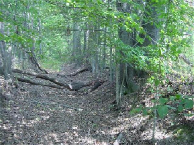 0 Rieves Bend Road Columbia, TN 38401 - Photo 1 of 1 Gallery Image 1
