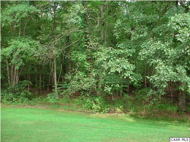 5385 Secretarys Sand Road Esmont, VA 22937 - Photo 10 of 13 Backyard View