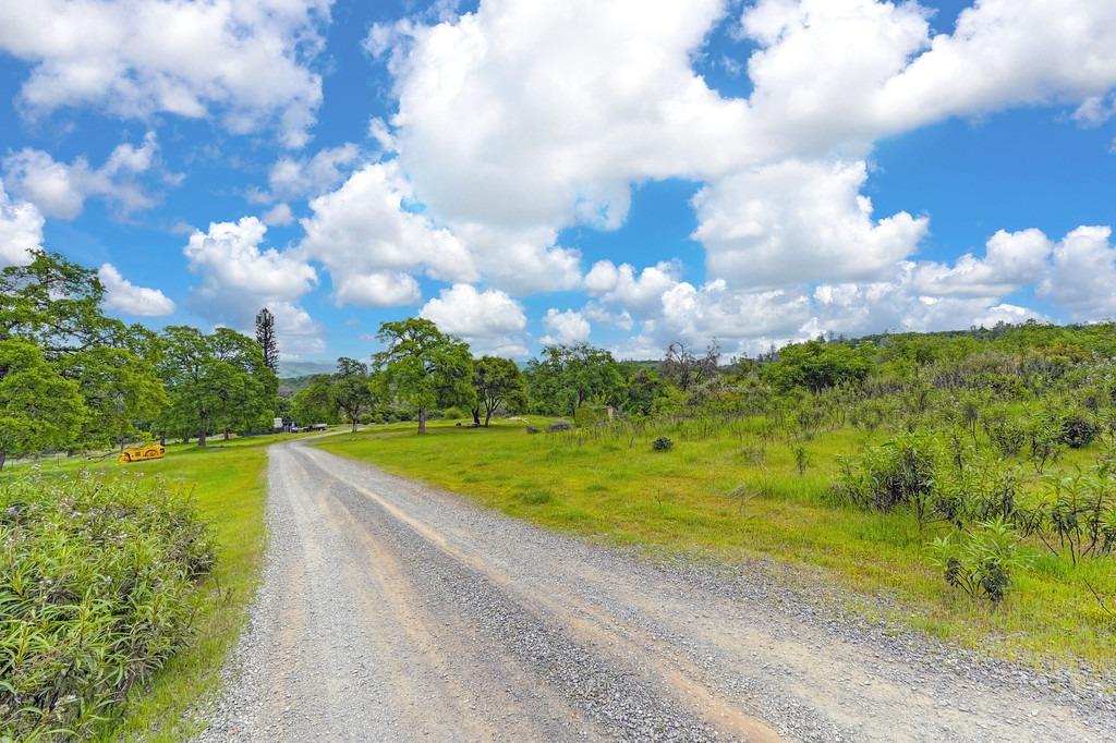 4822 Salmon Falls Road Pilot Hill, CA 95664 - Photo 17 of 63