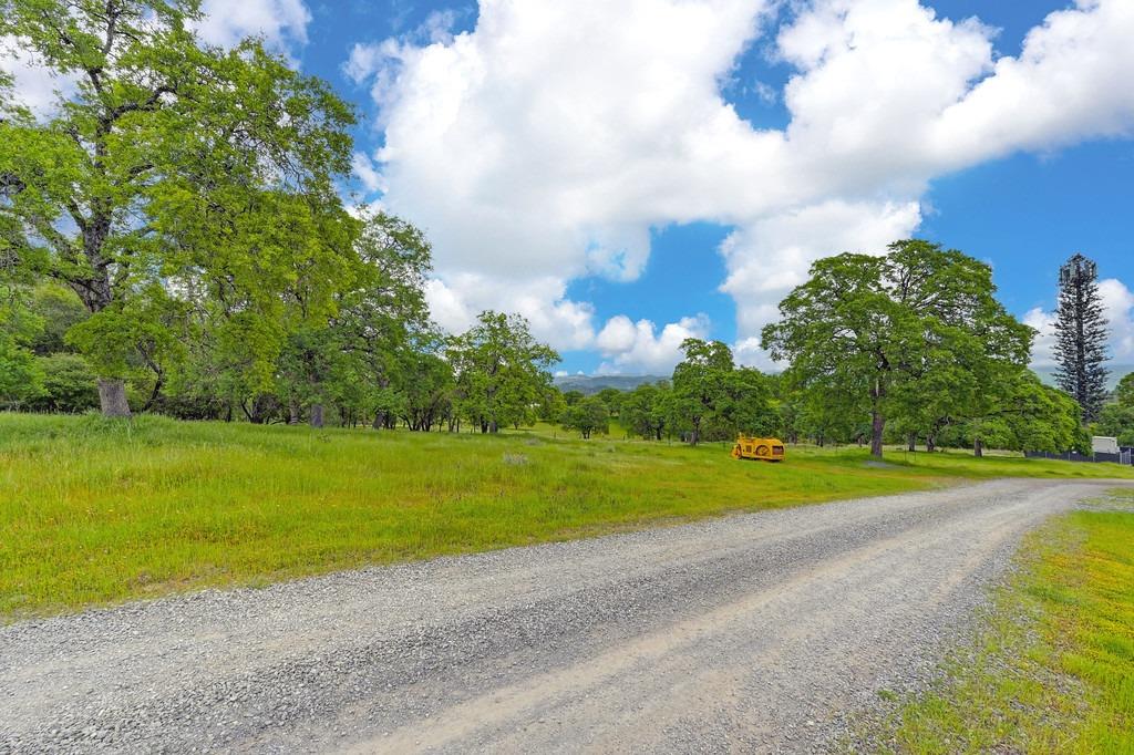 4822 Salmon Falls Road Pilot Hill, CA 95664 - Photo 18 of 63