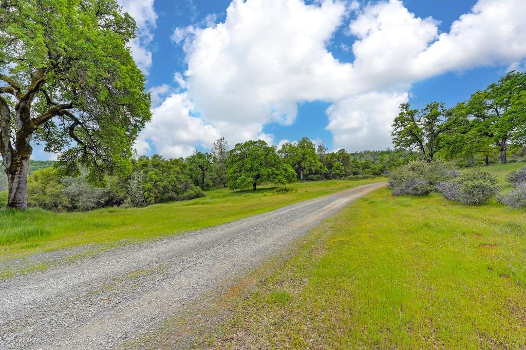 4822 Salmon Falls Road Pilot Hill, CA 95664 - Photo 19 of 63