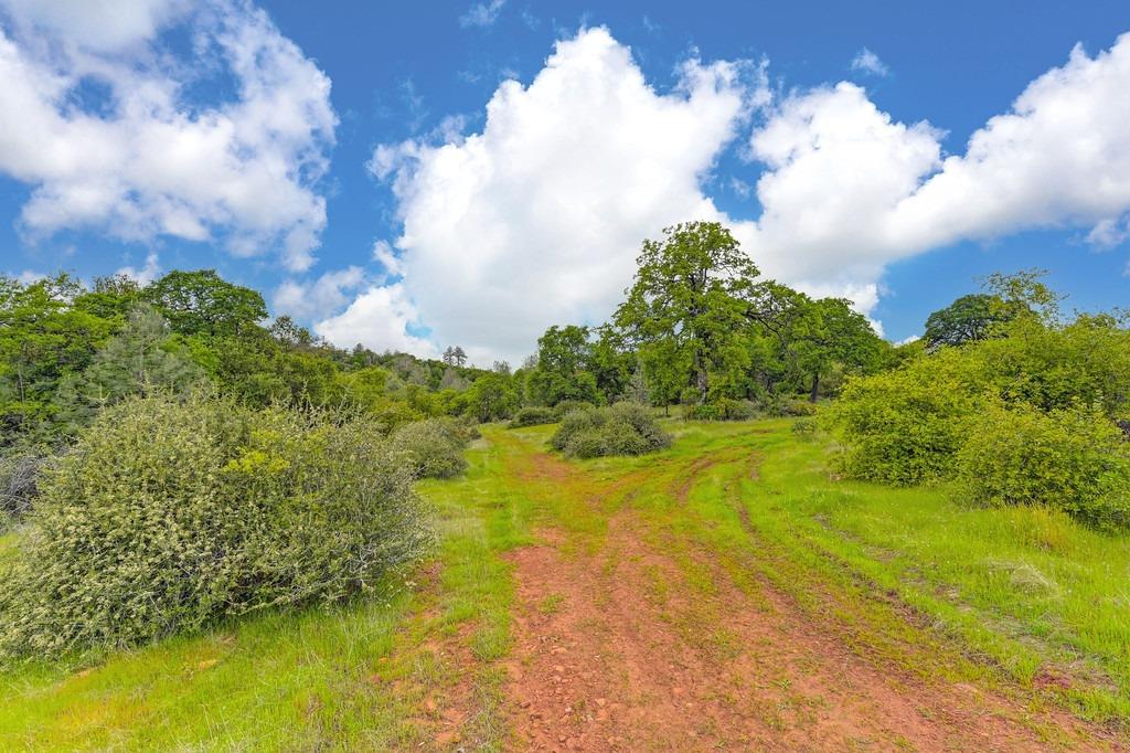 4822 Salmon Falls Road Pilot Hill, CA 95664 - Photo 24 of 63