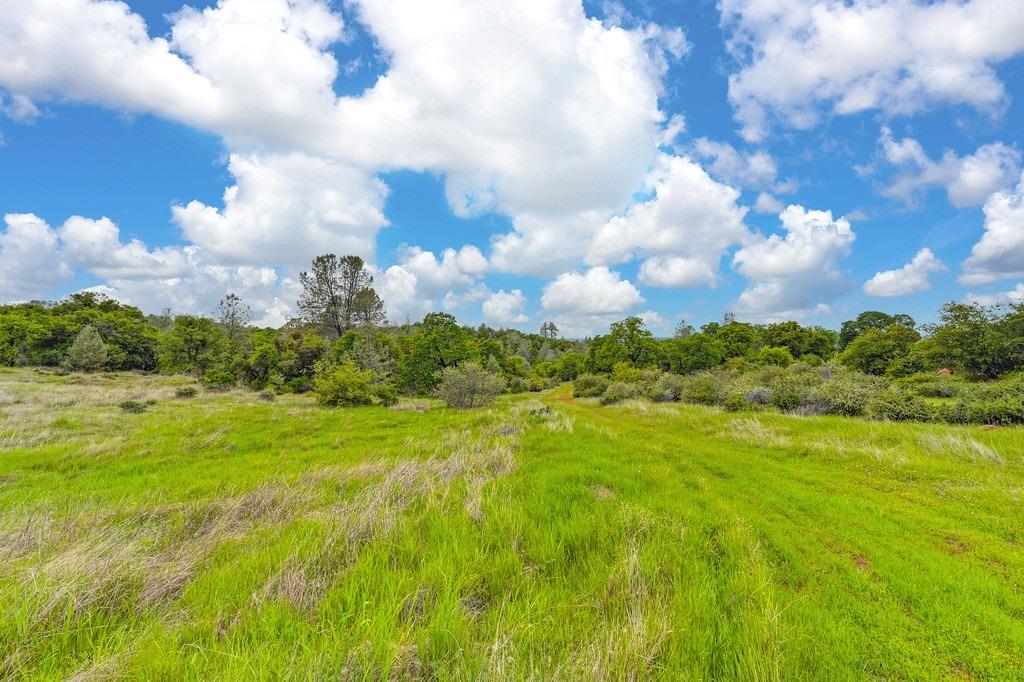 4822 Salmon Falls Road Pilot Hill, CA 95664 - Photo 28 of 63