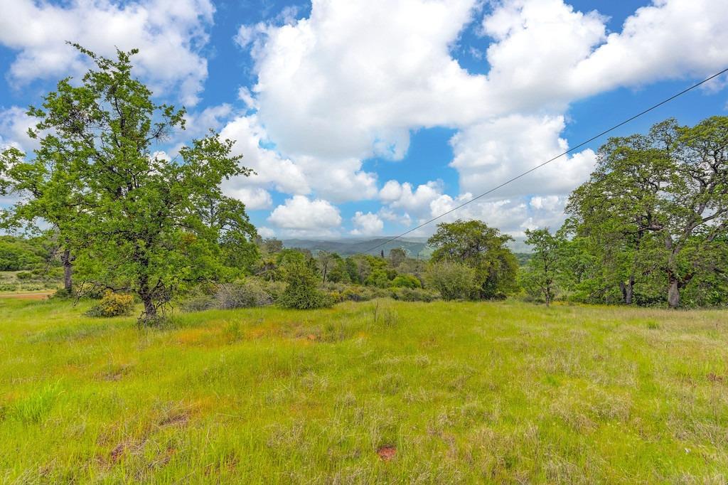 4822 Salmon Falls Road Pilot Hill, CA 95664 - Photo 29 of 63
