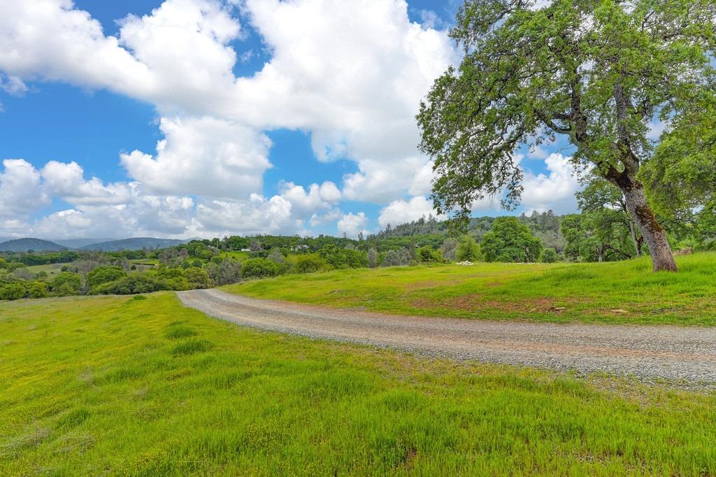 4822 Salmon Falls Road Pilot Hill, CA 95664 - Photo 3 of 63