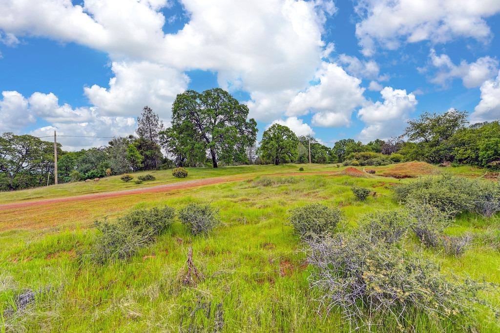 4822 Salmon Falls Road Pilot Hill, CA 95664 - Photo 32 of 63