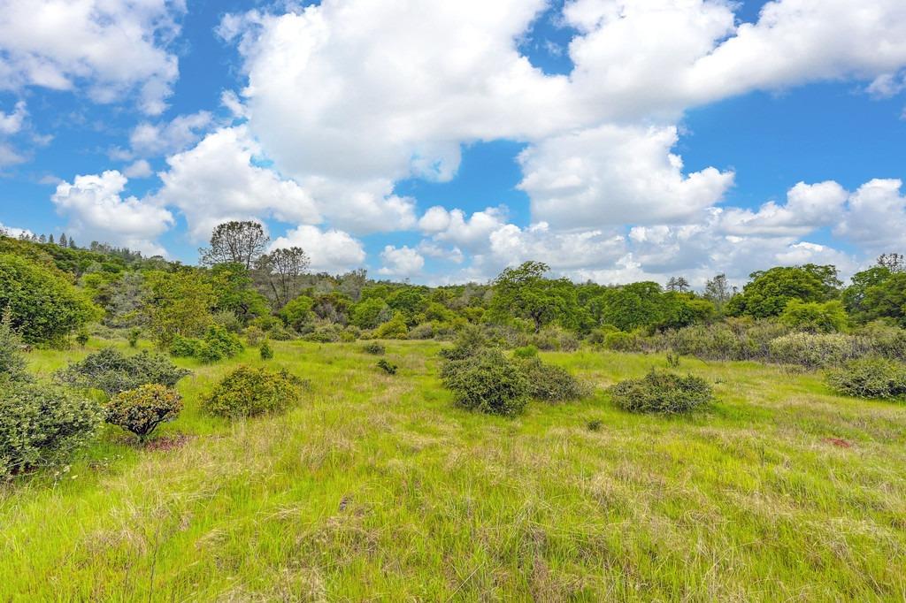 4822 Salmon Falls Road Pilot Hill, CA 95664 - Photo 33 of 63