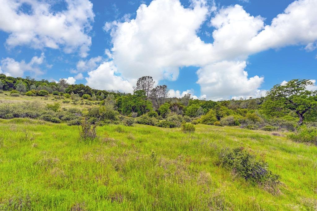 4822 Salmon Falls Road Pilot Hill, CA 95664 - Photo 34 of 63