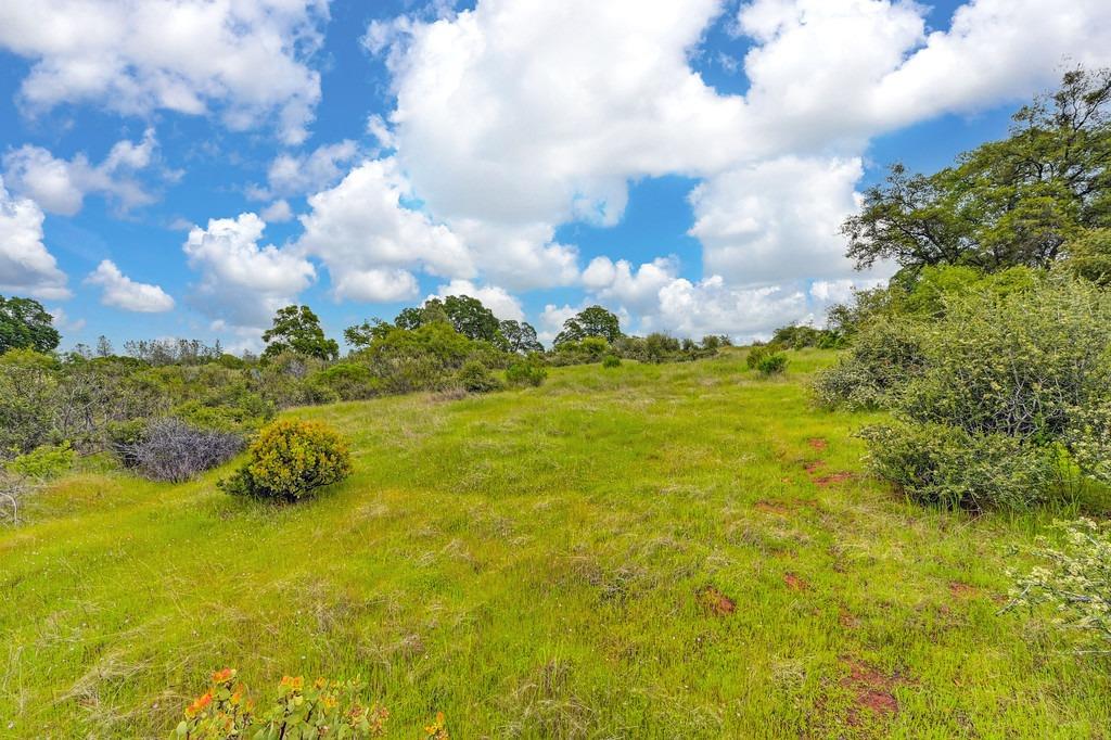 4822 Salmon Falls Road Pilot Hill, CA 95664 - Photo 35 of 63