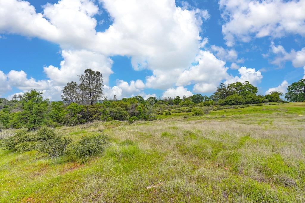 4822 Salmon Falls Road Pilot Hill, CA 95664 - Photo 37 of 63