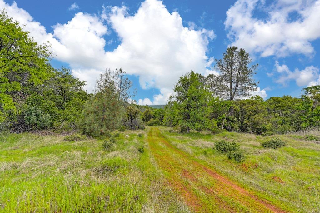 4822 Salmon Falls Road Pilot Hill, CA 95664 - Photo 38 of 63
