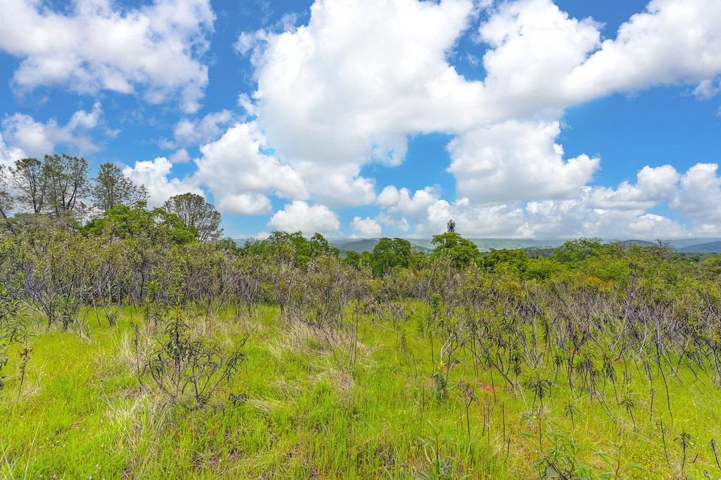 4822 Salmon Falls Road Pilot Hill, CA 95664 - Photo 40 of 63