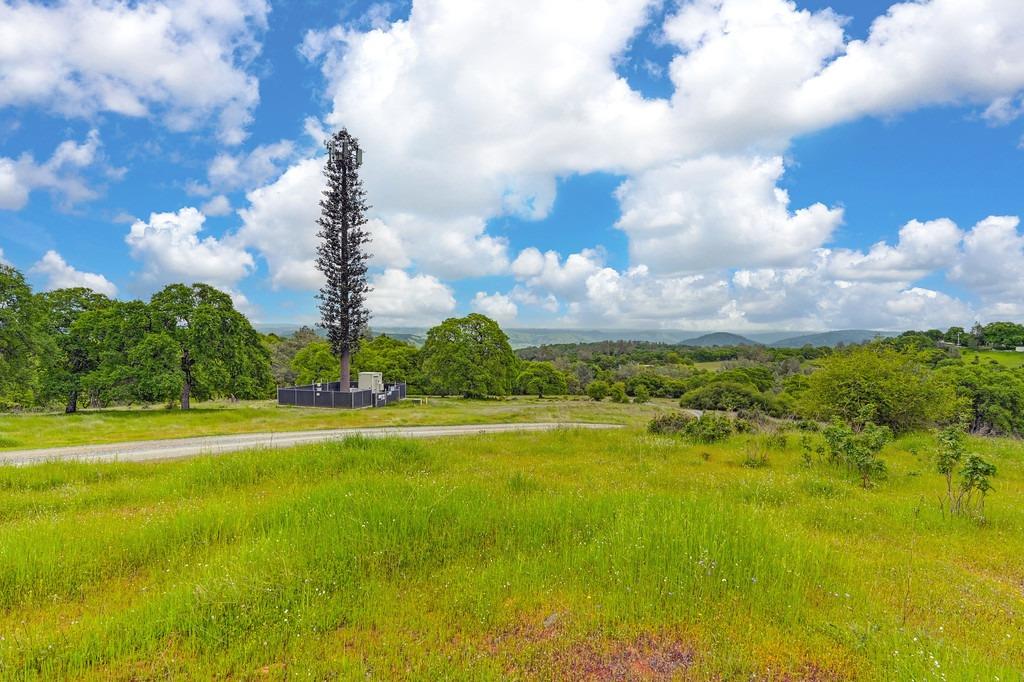 4822 Salmon Falls Road Pilot Hill, CA 95664 - Photo 4 of 63