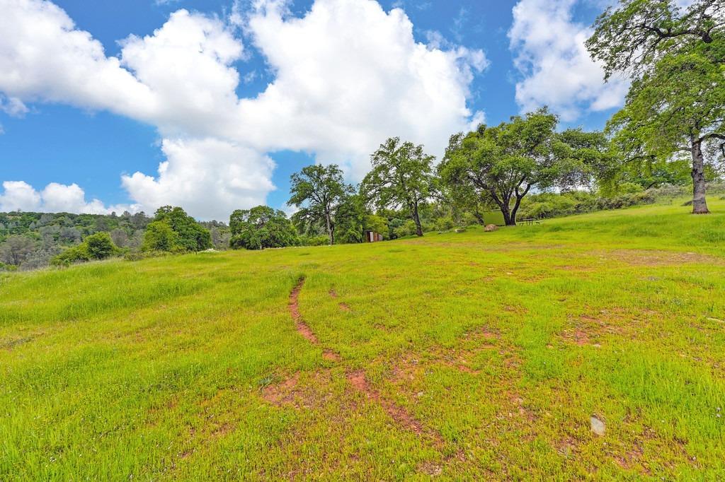 4822 Salmon Falls Road Pilot Hill, CA 95664 - Photo 41 of 63