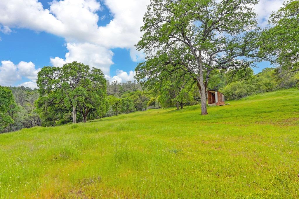 4822 Salmon Falls Road Pilot Hill, CA 95664 - Photo 42 of 63