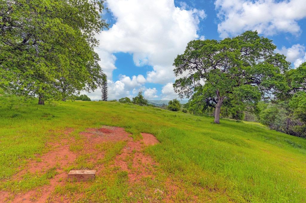 4822 Salmon Falls Road Pilot Hill, CA 95664 - Photo 47 of 63