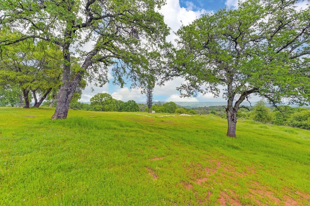 4822 Salmon Falls Road Pilot Hill, CA 95664 - Photo 48 of 63