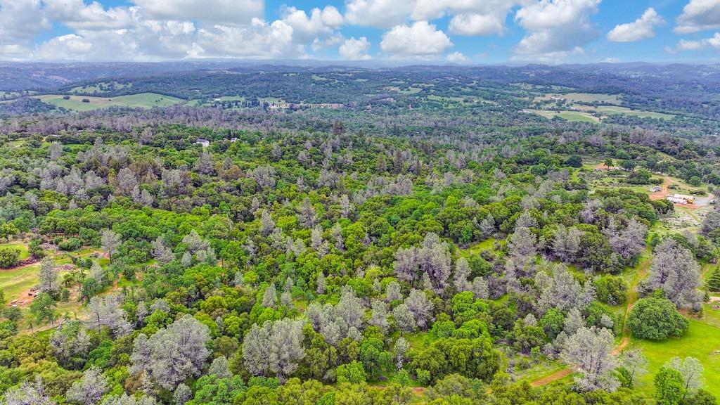 4822 Salmon Falls Road Pilot Hill, CA 95664 - Photo 50 of 63