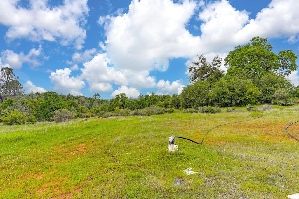 4822 Salmon Falls Road Pilot Hill, CA 95664 - Photo 5 of 63